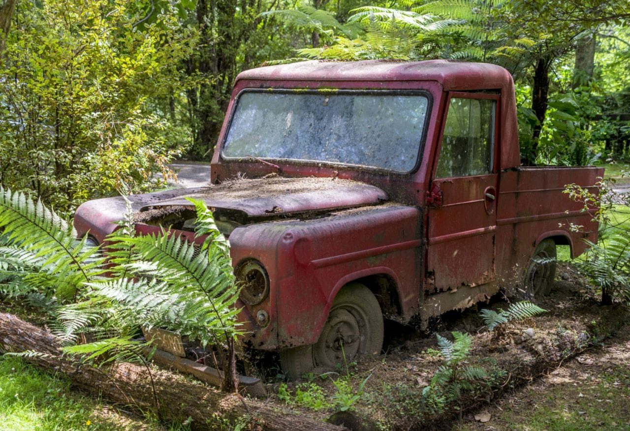 rusty red car lying abandoned forest surrounded by trees